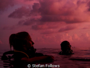 The person who doesn't scatter the morning dew will not c... by Stefan Follows 